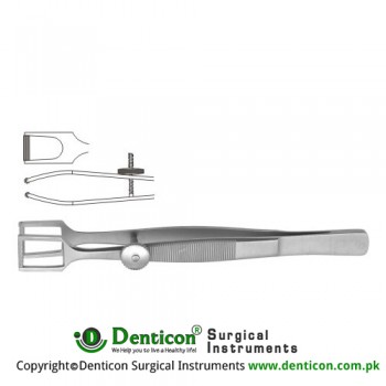 Cottle Columella Forcep Stainless Steel, 11 cm - 4 1/4" Width 12.0 mm